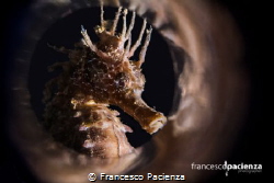 Smoke underwater. by Francesco Pacienza 